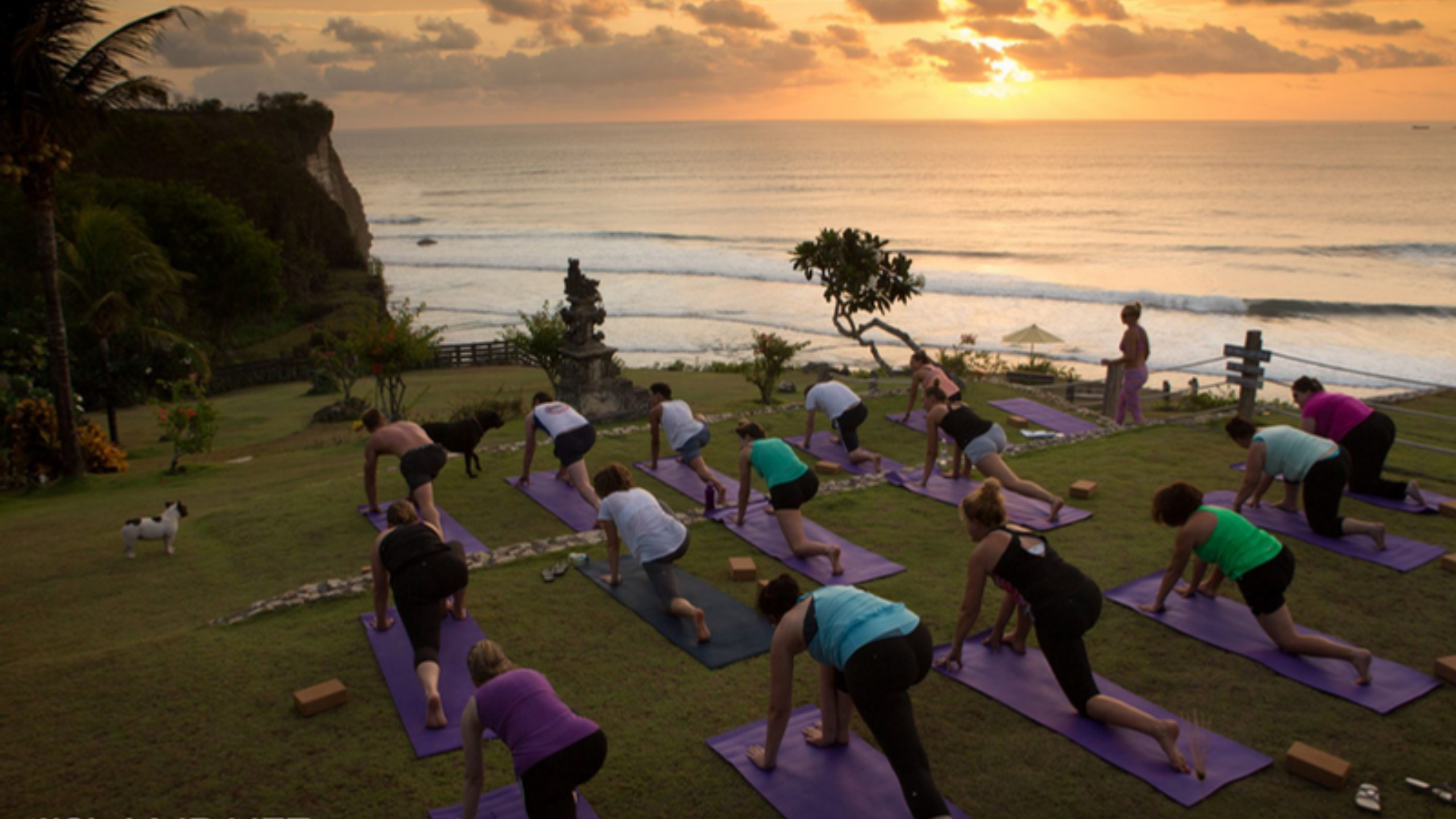 Rejuvenate with Ocean-View Yoga & Wellness Treatments