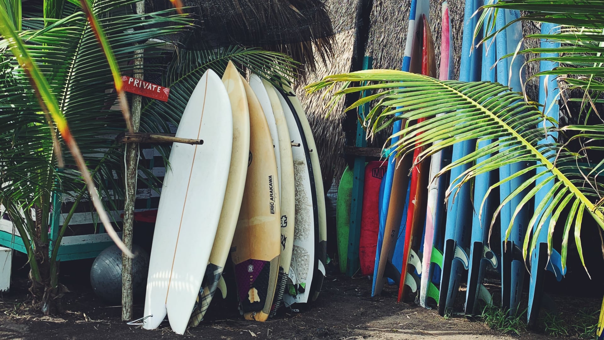 Surfing