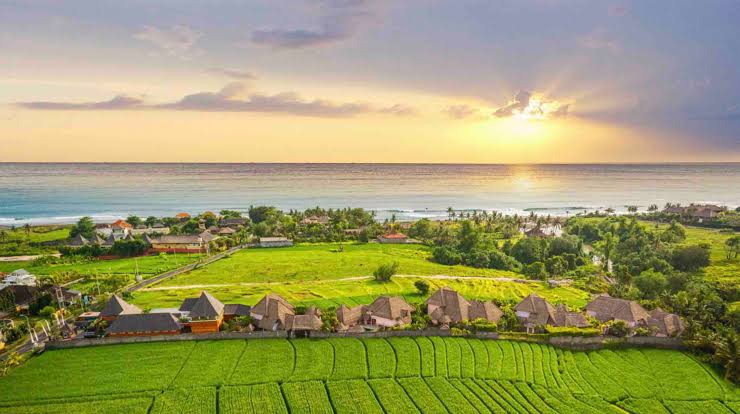 Discover the Rice Fields