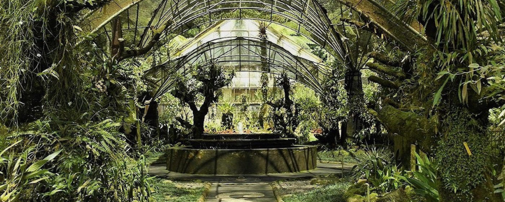 The Blooming Beautiful Bali Botanic Gardens